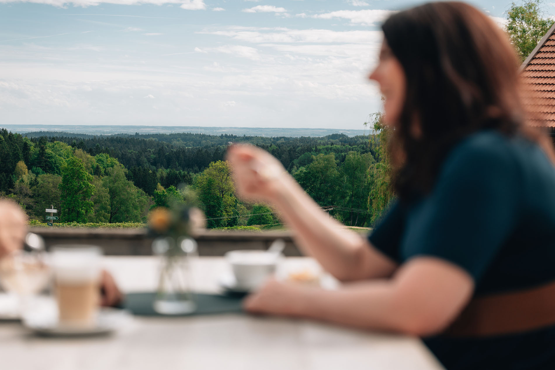 Wild-Berghof-Buchet - Blick von der Terrasse